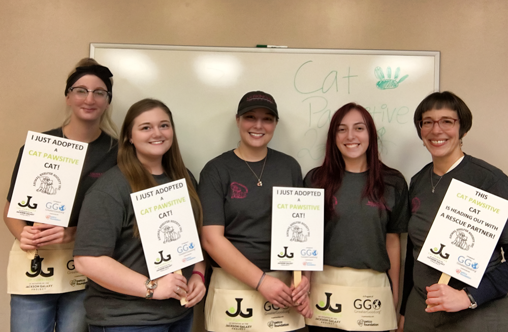 Animal Studies Majors Train Shelter Cats with GrantFunded Capstone
